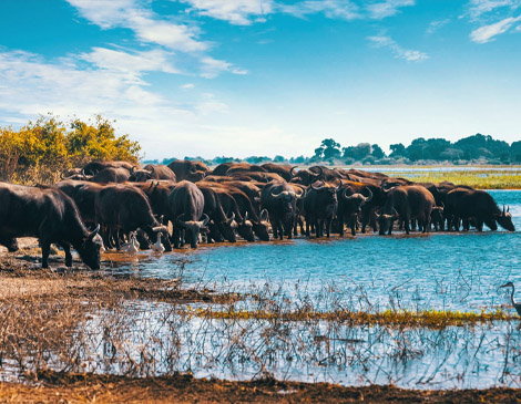 Lake Manyara National Park