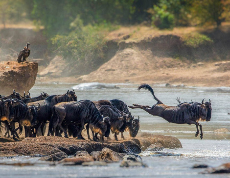 Serengeti National Park