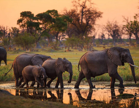 Tarangire National Park