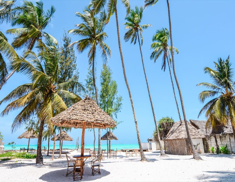 Zanzibar Island